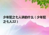 少年犯之七人讲的什么（少年犯之七人22）