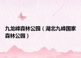 九龙峰森林公园（湖北九峰国家森林公园）
