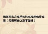 无懈可击之高手如林电视剧免费观看（无懈可击之高手如林）