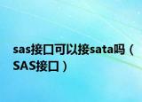 sas接口可以接sata吗（SAS接口）