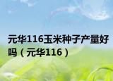 元华116玉米种子产量好吗（元华116）
