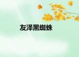 友泽黑蜘蛛