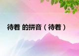 待着 的拼音（待着）