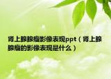 肾上腺腺瘤影像表现ppt（肾上腺腺瘤的影像表现是什么）