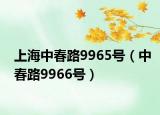 上海中春路9965号（中春路9966号）