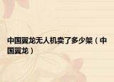中国翼龙无人机卖了多少架（中国翼龙）