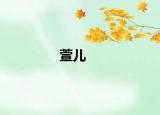 萱儿