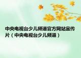 中央电视台少儿频道官方网站宣传片（中央电视台少儿频道）