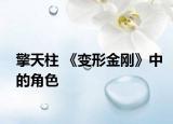 擎天柱 《变形金刚》中的角色