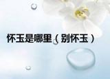 怀玉是哪里（别怀玉）