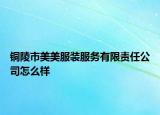 铜陵市美美服装服务有限责任公司怎么样