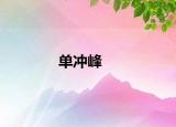 单冲峰