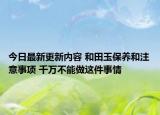 今日最新更新内容 和田玉保养和注意事项 千万不能做这件事情