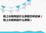 脸上长粉刺是什么原因怎样去掉（脸上长粉刺是什么原因）