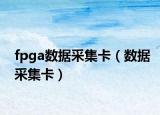 fpga数据采集卡（数据采集卡）