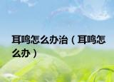 耳鸣怎么办治（耳鸣怎么办）