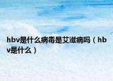 hbv是什么病毒是艾滋病吗（hbv是什么）