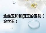 金丝玉和和田玉的区别（金丝玉）