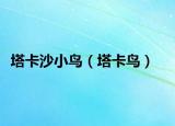 塔卡沙小鸟（塔卡鸟）