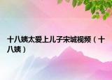 十八姨太爱上儿子宋城视频（十八姨）