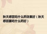 秋天感冒吃什么药效果好（秋天感冒要吃什么药好）