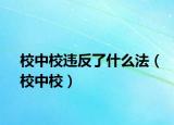 校中校违反了什么法（校中校）