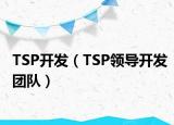 TSP开发（TSP领导开发团队）