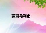 蒙哥马利市