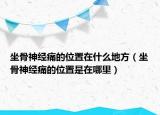 坐骨神经痛的位置在什么地方（坐骨神经痛的位置是在哪里）
