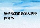 纽卡斯尔能源澳大利亚体育场