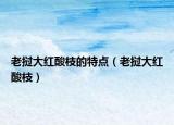 老挝大红酸枝的特点（老挝大红酸枝）