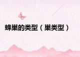 蜂巢的类型（巢类型）
