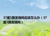 37度5算发烧吗应该怎么办（37度5算发烧吗）