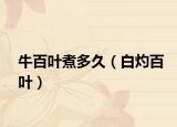 牛百叶煮多久（白灼百叶）