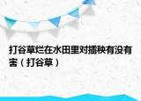 打谷草烂在水田里对插秧有没有害（打谷草）