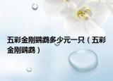 五彩金刚鹦鹉多少元一只（五彩金刚鹦鹉）
