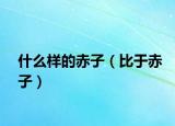 什么样的赤子（比于赤子）