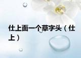仕上面一个草字头（仕上）