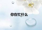 你在忙什么