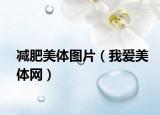 减肥美体图片（我爱美体网）
