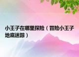 小王子在哪里探险（冒险小王子地底迷踪）