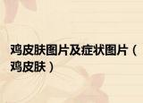 鸡皮肤图片及症状图片（鸡皮肤）