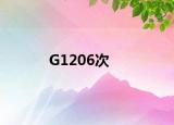 G1206次