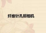 纤维针孔照相机