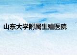 山东大学附属生殖医院
