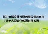 辽宁大潘文化传媒有限公司怎么样（辽宁大潘文化传媒有限公司）