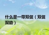 什么是一带双促（双促双助）
