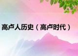 高卢人历史（高卢时代）