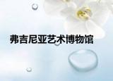 弗吉尼亚艺术博物馆