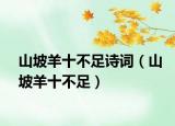 山坡羊十不足诗词（山坡羊十不足）